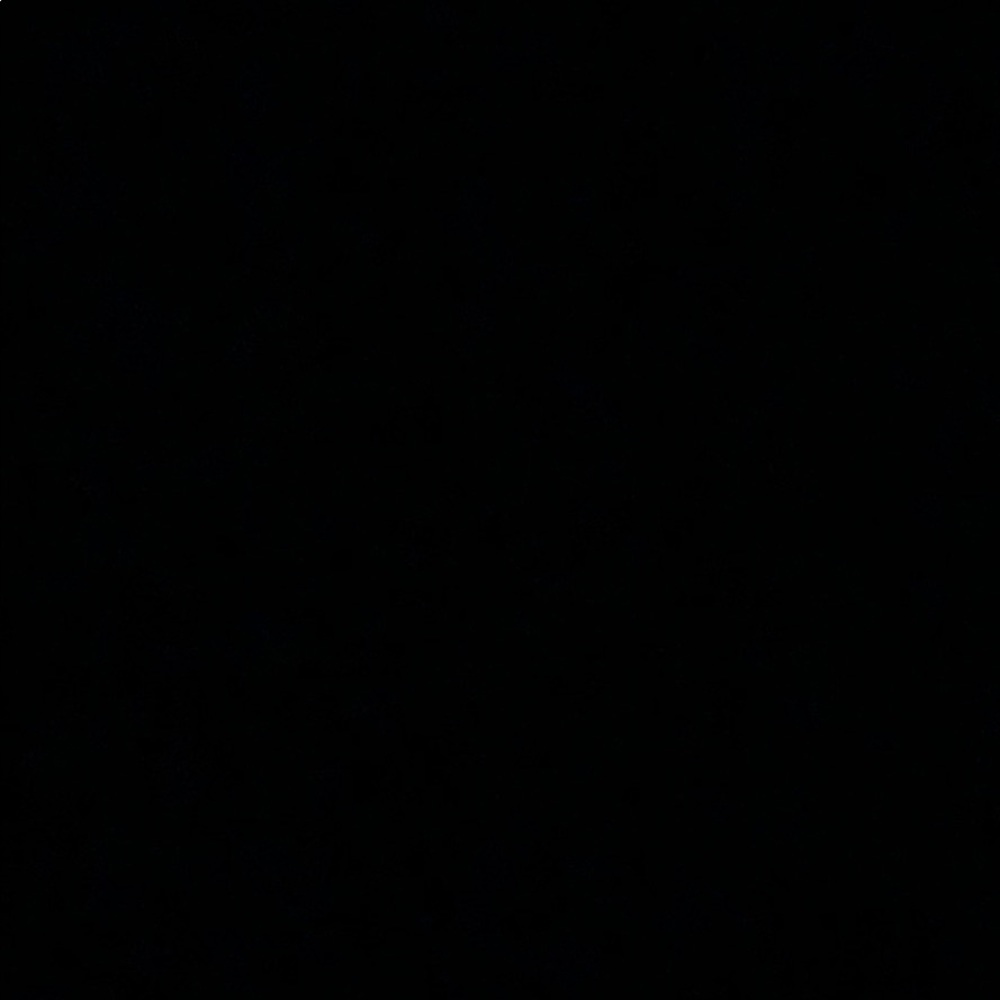 Meet your Posher, Zoe